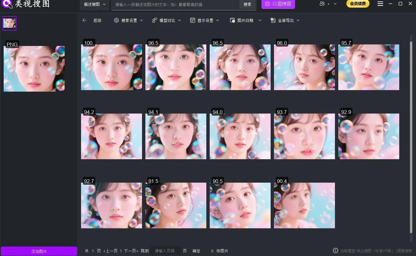 类视搜图软件主界面：简洁直观的操作界面